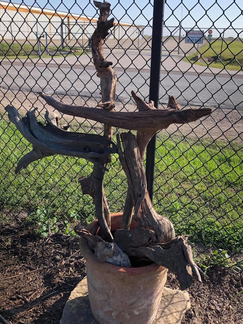 Stumpery driftwood container 