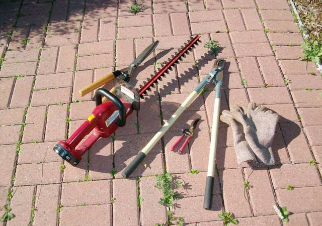 Useful tools for pruning roses