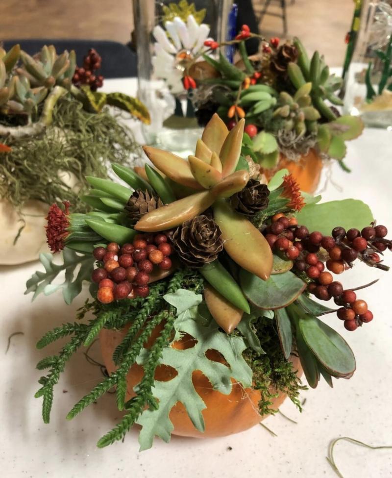 Mini pumpkins decorated with succulents and fall goodies