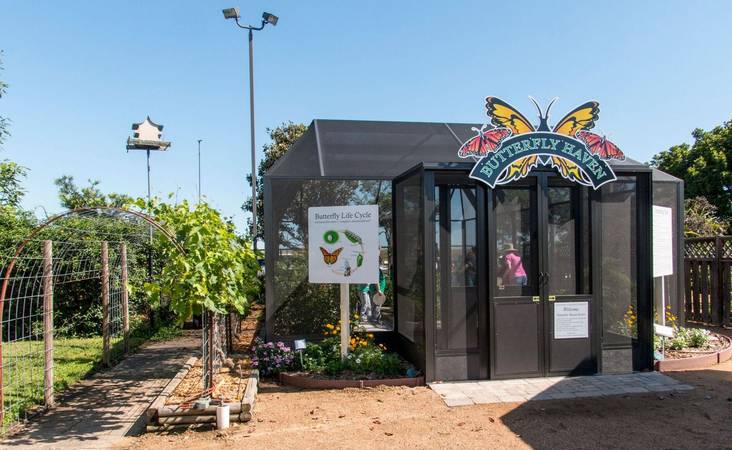 Butterfly Haven at VEG