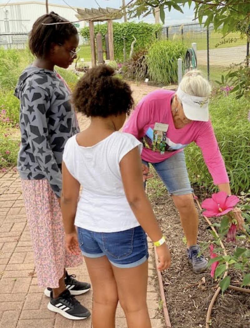 Master Gardener Pat Plowman showing school children hibiscus in VEG