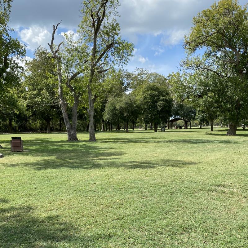 Green areas with trees in the park