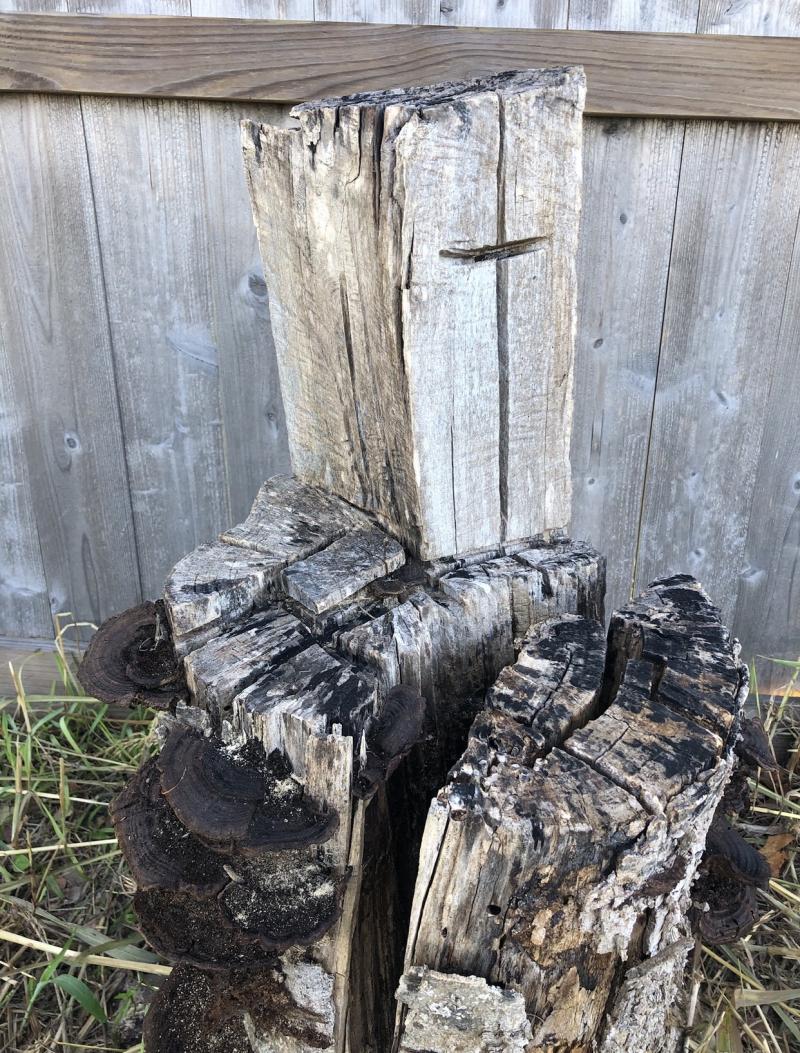 Wooden cross carved out of old stump