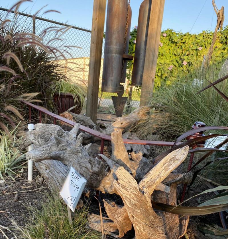 Stumpery upcycle is on display at Victoria Educational Gardens