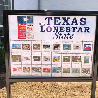 Texas Lone Star State Symbols